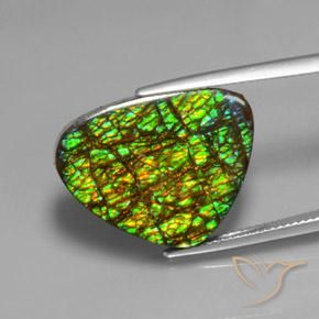 19.08ct Natürlicher Mehrfarbig Ammolith, Trillion, Lichtundurchlässig
