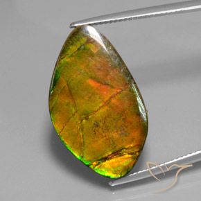15.41ct Natürlicher Mehrfarbig Ammolith, Fantasie, Lichtundurchlässig