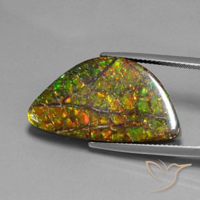 17.66ct Natürlicher Mehrfarbig Ammolith, Fantasie, Lichtundurchlässig
