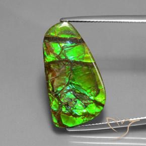 12.43ct Natürlicher Mehrfarbig Ammolith, Fantasie, Lichtundurchlässig