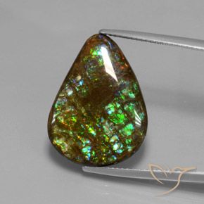 14.33ct Natürlicher Mehrfarbig Ammolith, Birnenform, Lichtundurchlässig