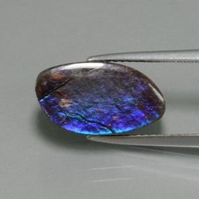 9,17 ctw natürlicher Mehrfarbig Ammolith, Ausgefallene Form, Lichtundurchlässig