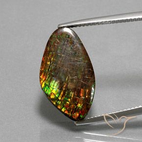 10.29ct Natürlicher Mehrfarbig Ammolith, Fantasie, Lichtundurchlässig