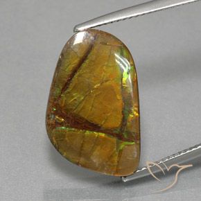 8.36ct Natürlicher Mehrfarbig Ammolith, Fantasie, Lichtundurchlässig