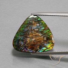 12.33ct Natürlicher Mehrfarbig Ammolith, Trillion, Lichtundurchlässig