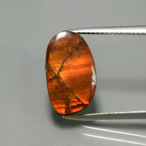 9,17 ctw natürlicher Mehrfarbig Ammolith, Ausgefallene Form, Lichtundurchlässig