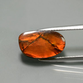 9,17 ctw natürlicher Mehrfarbig Ammolith, Ausgefallene Form, Lichtundurchlässig