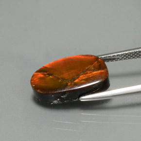 9,17 ctw natürlicher Mehrfarbig Ammolith, Ausgefallene Form, Lichtundurchlässig