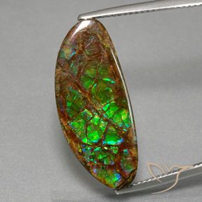 12.02ct Natürlicher Mehrfarbig Ammolith, Fantasie, Lichtundurchlässig