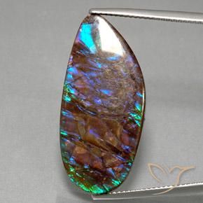 19.21ct Natürlicher Mehrfarbig Ammolith, Fantasie, Lichtundurchlässig