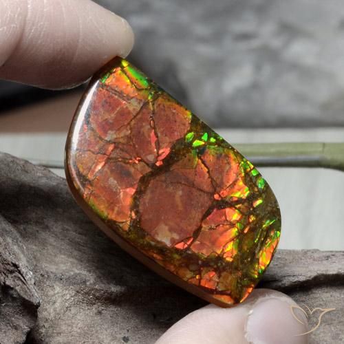 26.89ct Natürlicher Mehrfarbig Ammolith, Fantasie, Lichtundurchlässig