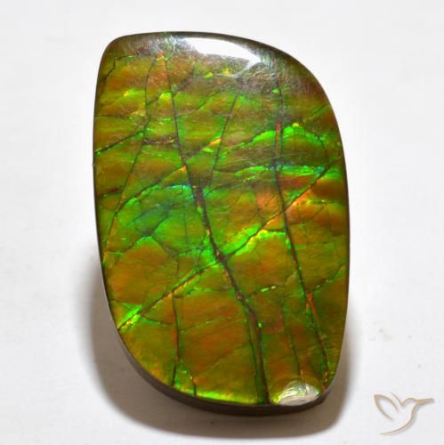 19.27ct Natürlicher Mehrfarbig Ammolith, Fantasie, Lichtundurchlässig