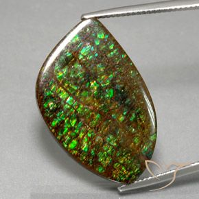 21.29ct Natürlicher Mehrfarbig Ammolith, Fantasie, Lichtundurchlässig