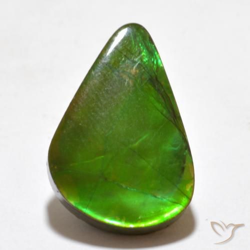 7.77ct Natürlicher Mehrfarbig Ammolith, Fantasie, Lichtundurchlässig