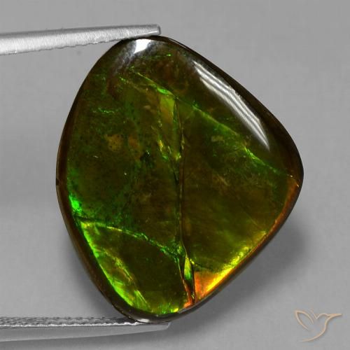 14.70ct Natürlicher Mehrfarbig Ammolith, Fantasie, Lichtundurchlässig
