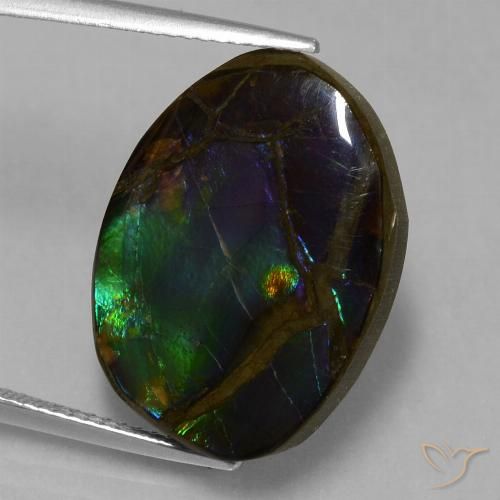 13.58ct Natürlicher Mehrfarbig Ammolith, Fantasie, Lichtundurchlässig