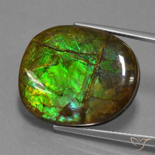 16.29ct Natürlicher Mehrfarbig Ammolith, Fantasie, Lichtundurchlässig