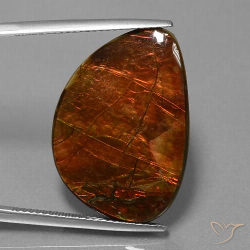 18.53ct Natürlicher Mehrfarbig Ammolith, Fantasie, Lichtundurchlässig