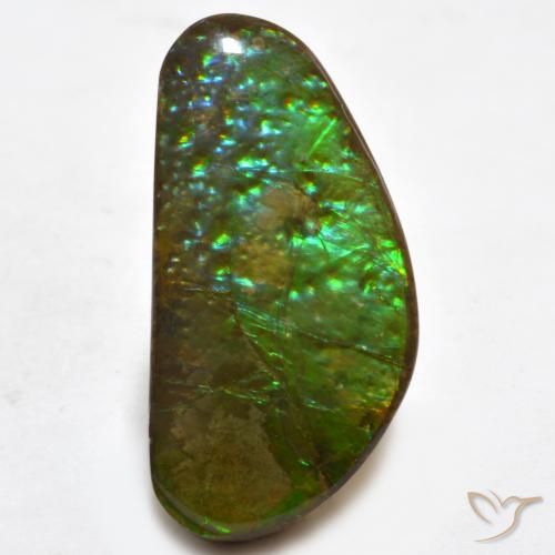 16.81ct Natürlicher Mehrfarbig Ammolith, Fantasie, Lichtundurchlässig
