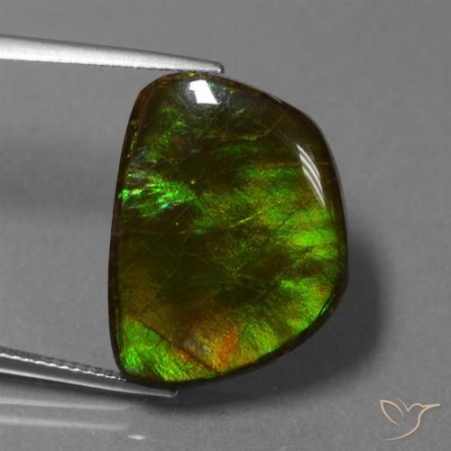 17.11ct Natürlicher Mehrfarbig Ammolith, Fantasie, Lichtundurchlässig