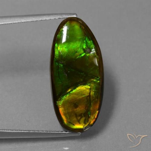 10.85ct Natürlicher Mehrfarbig Ammolith, Fantasie, Lichtundurchlässig