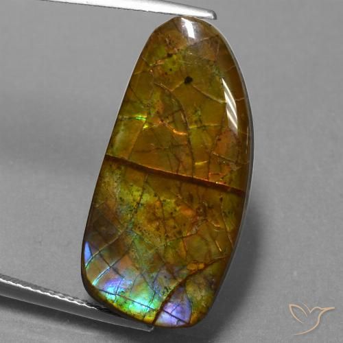 13.89ct Natürlicher Mehrfarbig Ammolith, Fantasie, Lichtundurchlässig