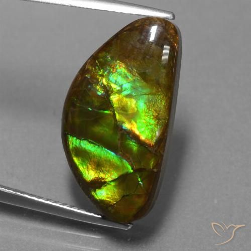 11.30ct Natürlicher Mehrfarbig Ammolith, Fantasie, Lichtundurchlässig