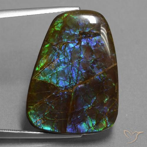 23.98ct Natürlicher Mehrfarbig Ammolith, Fantasie, Lichtundurchlässig