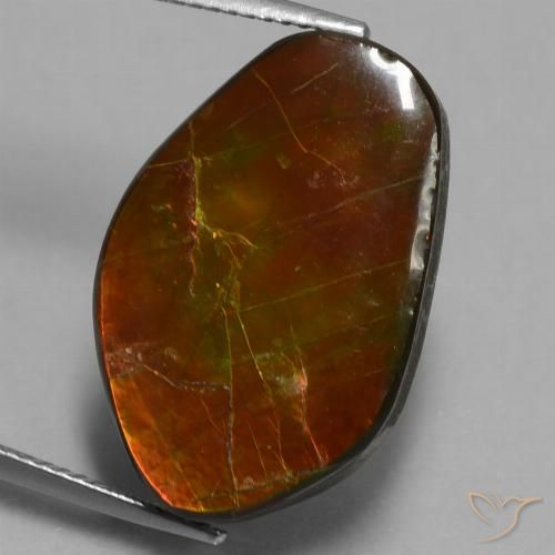 14.61ct Natürlicher Mehrfarbig Ammolith, Fantasie, Lichtundurchlässig