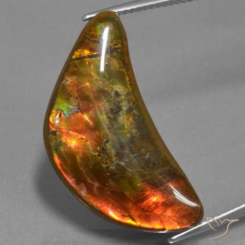 17.19ct Natürlicher Mehrfarbig Ammolith, Fantasie, Lichtundurchlässig