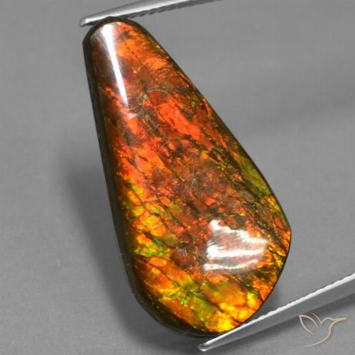 14.87ct Natürlicher Mehrfarbig Ammolith, Fantasie, Lichtundurchlässig