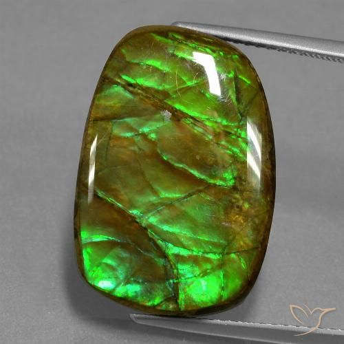 13.93ct Natürlicher Mehrfarbig Ammolith, Fantasie, Lichtundurchlässig