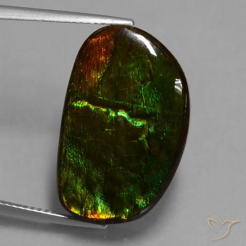 17.20ct Natürlicher Mehrfarbig Ammolith, Fantasie, Lichtundurchlässig