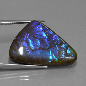 9,17 ctw natürlicher Mehrfarbig Ammolith, Ausgefallene Form, Lichtundurchlässig