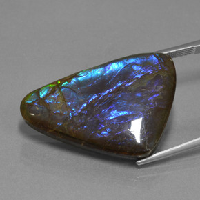 9,17 ctw natürlicher Mehrfarbig Ammolith, Ausgefallene Form, Lichtundurchlässig