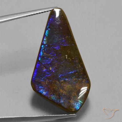 19.82ct Natürlicher Mehrfarbig Ammolith, Fantasie, Lichtundurchlässig
