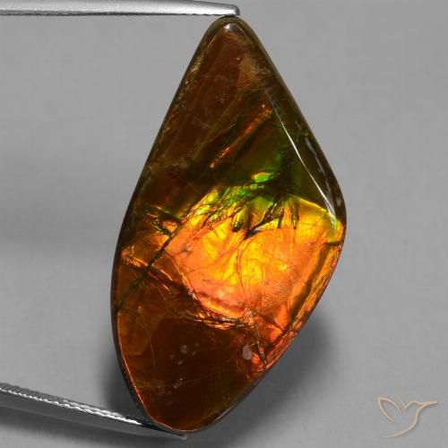 21.71ct Natürlicher Mehrfarbig Ammolith, Fantasie, Lichtundurchlässig