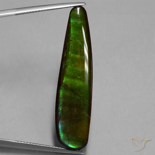 19.66ct Natürlicher Mehrfarbig Ammolith, Fantasie, Lichtundurchlässig