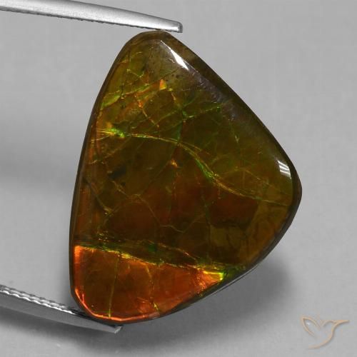15.18ct Natürlicher Mehrfarbig Ammolith, Fantasie, Lichtundurchlässig