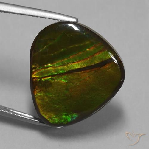 16.74ct Natürlicher Mehrfarbig Ammolith, Fantasie, Lichtundurchlässig