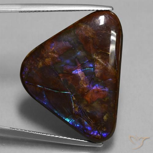 23.63ct Natürlicher Mehrfarbig Ammolith, Trillion, Lichtundurchlässig