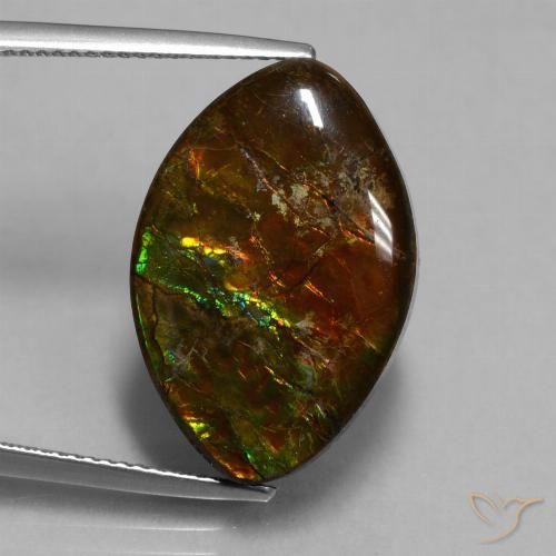 13.51ct Natürlicher Mehrfarbig Ammolith, Marquise, Lichtundurchlässig