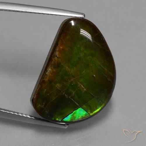 15.89ct Natürlicher Mehrfarbig Ammolith, Fantasie, Lichtundurchlässig