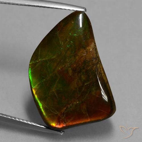 15.62ct Natürlicher Mehrfarbig Ammolith, Fantasie, Lichtundurchlässig