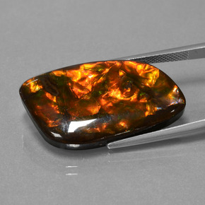 9,17 ctw natürlicher Mehrfarbig Ammolith, Ausgefallene Form, Lichtundurchlässig