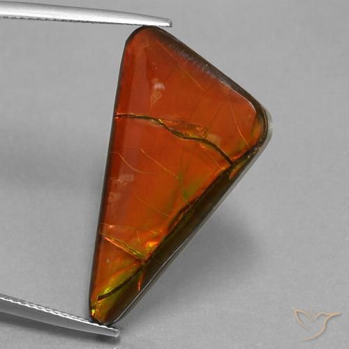 17.93ct Natürlicher Mehrfarbig Ammolith, Trillion, Lichtundurchlässig