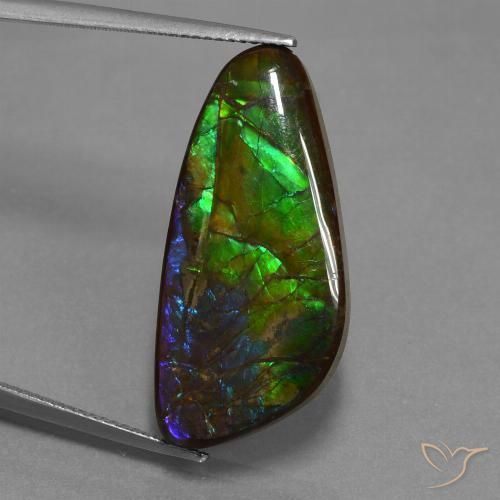 16.76ct Natürlicher Mehrfarbig Ammolith, Fantasie, Lichtundurchlässig