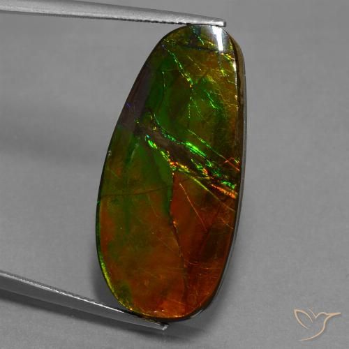 21.63ct Natürlicher Mehrfarbig Ammolith, Fantasie, Lichtundurchlässig