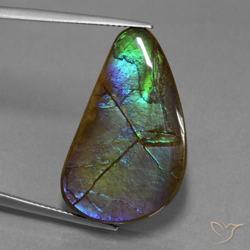20.44ct Natürlicher Mehrfarbig Ammolith, Fantasie, Lichtundurchlässig