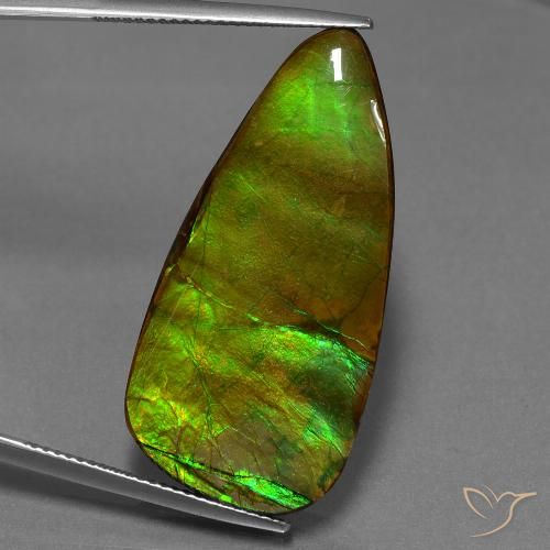 24.28ct Natürlicher Mehrfarbig Ammolith, Fantasie, Lichtundurchlässig